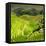 China 10MKm2 Collection - Rice Terraces - Longsheng Ping'an - Guangxi-Philippe Hugonnard-Framed Stretched Canvas