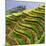 China 10MKm2 Collection - Rice Terraces - Longsheng Ping'an - Guangxi-Philippe Hugonnard-Mounted Photographic Print