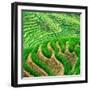 China 10MKm2 Collection - Rice Terraces - Longsheng Ping'an - Guangxi-Philippe Hugonnard-Framed Photographic Print