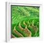 China 10MKm2 Collection - Rice Terraces - Longsheng Ping'an - Guangxi-Philippe Hugonnard-Framed Photographic Print