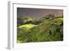 China 10MKm2 Collection - Rice Terraces - Longsheng Ping'an - Guangxi-Philippe Hugonnard-Framed Photographic Print