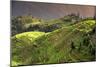 China 10MKm2 Collection - Rice Terraces - Longsheng Ping'an - Guangxi-Philippe Hugonnard-Mounted Photographic Print