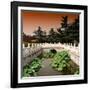 China 10MKm2 Collection - River of Gold - Forbidden City-Philippe Hugonnard-Framed Photographic Print