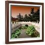 China 10MKm2 Collection - River of Gold - Forbidden City-Philippe Hugonnard-Framed Photographic Print