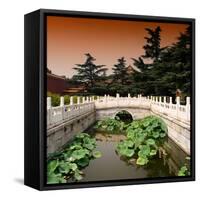 China 10MKm2 Collection - River of Gold - Forbidden City-Philippe Hugonnard-Framed Stretched Canvas