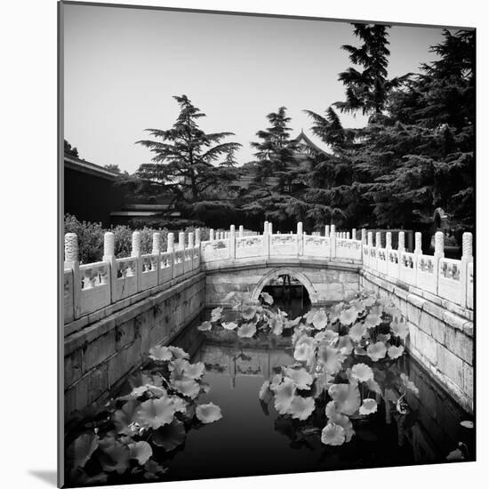 China 10MKm2 Collection - River of Gold - Forbidden City-Philippe Hugonnard-Mounted Photographic Print