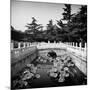 China 10MKm2 Collection - River of Gold - Forbidden City-Philippe Hugonnard-Mounted Photographic Print