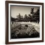 China 10MKm2 Collection - River of Gold - Forbidden City-Philippe Hugonnard-Framed Photographic Print