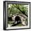 China 10MKm2 Collection - Romantic Boat Ride-Philippe Hugonnard-Framed Photographic Print