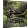 China 10MKm2 Collection - Romantic Bridge-Philippe Hugonnard-Mounted Photographic Print