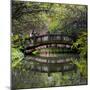 China 10MKm2 Collection - Romantic Bridge-Philippe Hugonnard-Mounted Photographic Print