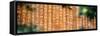 China 10MKm2 Collection - Sacred Writings-Philippe Hugonnard-Framed Stretched Canvas