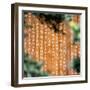 China 10MKm2 Collection - Sacred Writings-Philippe Hugonnard-Framed Photographic Print