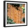 China 10MKm2 Collection - Sacred Writings-Philippe Hugonnard-Framed Photographic Print