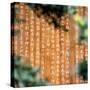 China 10MKm2 Collection - Sacred Writings-Philippe Hugonnard-Stretched Canvas