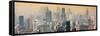 China 10MKm2 Collection - Shanghai Cityscape-Philippe Hugonnard-Framed Stretched Canvas