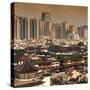 China 10MKm2 Collection - Shanghai Cityscape-Philippe Hugonnard-Stretched Canvas