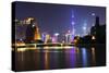 China 10MKm2 Collection - Shanghai Skyline with Oriental Pearl Tower at night-Philippe Hugonnard-Stretched Canvas