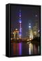 China 10MKm2 Collection - Shanghai Skyline with Oriental Pearl Tower at night-Philippe Hugonnard-Framed Stretched Canvas