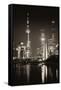 China 10MKm2 Collection - Shanghai Skyline with Oriental Pearl Tower at night-Philippe Hugonnard-Framed Stretched Canvas