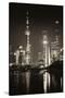 China 10MKm2 Collection - Shanghai Skyline with Oriental Pearl Tower at night-Philippe Hugonnard-Stretched Canvas