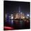China 10MKm2 Collection - Shanghai Skyline with Oriental Pearl Tower at night-Philippe Hugonnard-Stretched Canvas