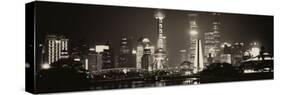 China 10MKm2 Collection - Shanghai Skyline with Oriental Pearl Tower at night-Philippe Hugonnard-Stretched Canvas