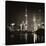 China 10MKm2 Collection - Shanghai Skyline with Oriental Pearl Tower at night-Philippe Hugonnard-Stretched Canvas