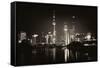 China 10MKm2 Collection - Shanghai Skyline with Oriental Pearl Tower at night-Philippe Hugonnard-Framed Stretched Canvas