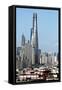 China 10MKm2 Collection - Shanghai Tower-Philippe Hugonnard-Framed Stretched Canvas