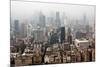 China 10MKm2 Collection - Shanghai-Philippe Hugonnard-Mounted Photographic Print