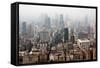 China 10MKm2 Collection - Shanghai-Philippe Hugonnard-Framed Stretched Canvas