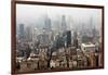 China 10MKm2 Collection - Shanghai-Philippe Hugonnard-Framed Photographic Print