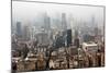 China 10MKm2 Collection - Shanghai-Philippe Hugonnard-Mounted Photographic Print