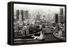 China 10MKm2 Collection - Shanghai-Philippe Hugonnard-Framed Stretched Canvas