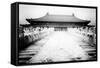 China 10MKm2 Collection - Stairs Forbidden City-Philippe Hugonnard-Framed Stretched Canvas