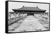 China 10MKm2 Collection - Stairs Forbidden City-Philippe Hugonnard-Framed Stretched Canvas