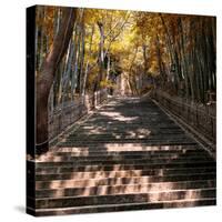 China 10MKm2 Collection - Stairs in Autumn-Philippe Hugonnard-Stretched Canvas