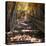 China 10MKm2 Collection - Stairs in Autumn-Philippe Hugonnard-Stretched Canvas