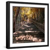 China 10MKm2 Collection - Stairs in Autumn-Philippe Hugonnard-Framed Photographic Print