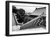China 10MKm2 Collection - Stairs Summer Palace-Philippe Hugonnard-Framed Photographic Print