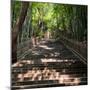 China 10MKm2 Collection - Stairs-Philippe Hugonnard-Mounted Photographic Print