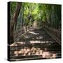 China 10MKm2 Collection - Stairs-Philippe Hugonnard-Stretched Canvas