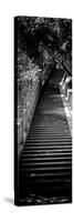 China 10MKm2 Collection - Stairway in the Forest-Philippe Hugonnard-Stretched Canvas