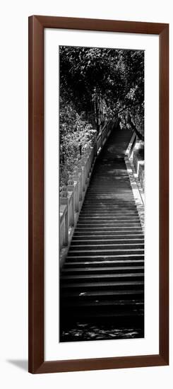 China 10MKm2 Collection - Stairway in the Forest-Philippe Hugonnard-Framed Photographic Print