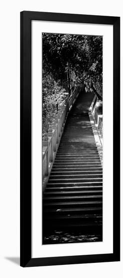 China 10MKm2 Collection - Stairway in the Forest-Philippe Hugonnard-Framed Photographic Print