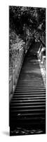 China 10MKm2 Collection - Stairway in the Forest-Philippe Hugonnard-Mounted Photographic Print