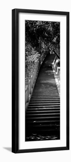 China 10MKm2 Collection - Stairway in the Forest-Philippe Hugonnard-Framed Photographic Print