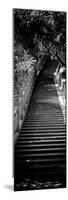 China 10MKm2 Collection - Stairway in the Forest-Philippe Hugonnard-Mounted Photographic Print