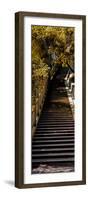 China 10MKm2 Collection - Stairway in the Forest-Philippe Hugonnard-Framed Photographic Print